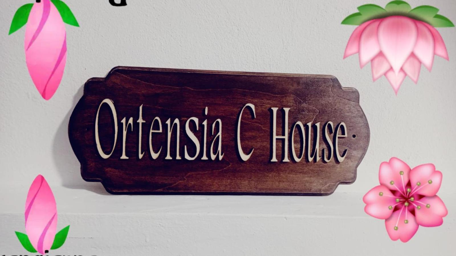 Ortensia C House Catânia Exterior foto